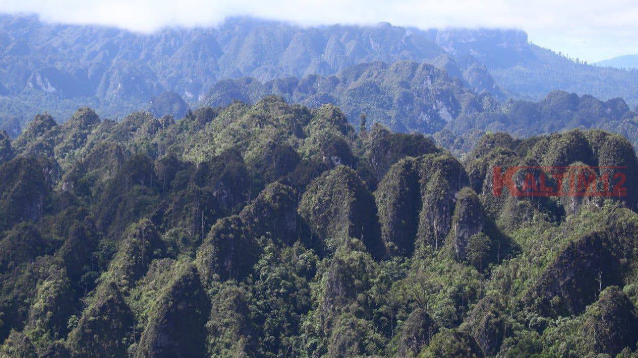 Karst Sangkulirang-Mangkalihat Terancam Ekspansi Tambang, Komunitas Kutim Minta Status UNESCO Dipercepat