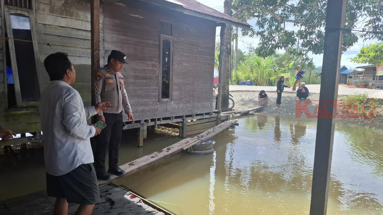 Buaya Muncul di Tengah Banjir Bengalon, Bocah dan Lansia Jadi Korban